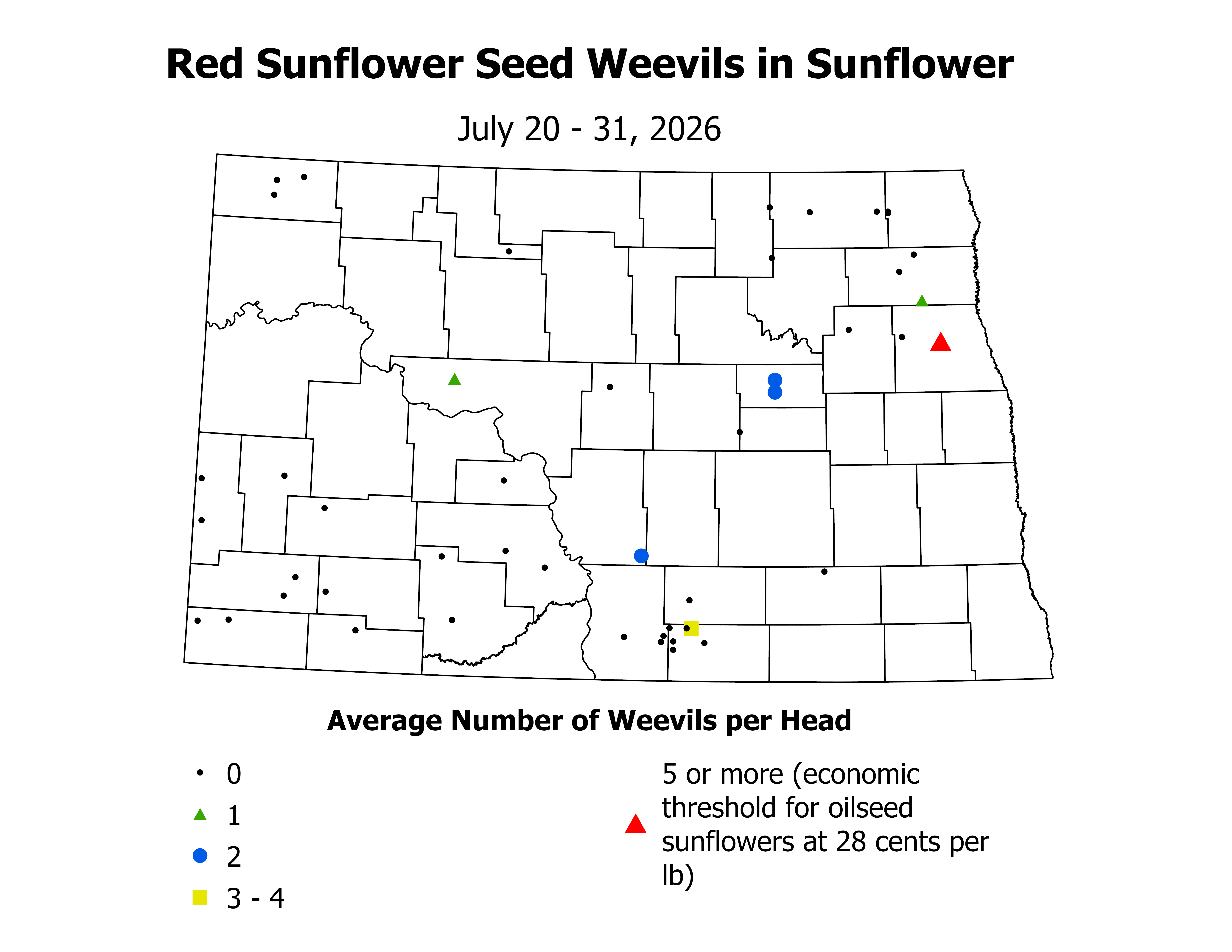 sunflower_RSSW_Head_2026July20ToJuly31.png