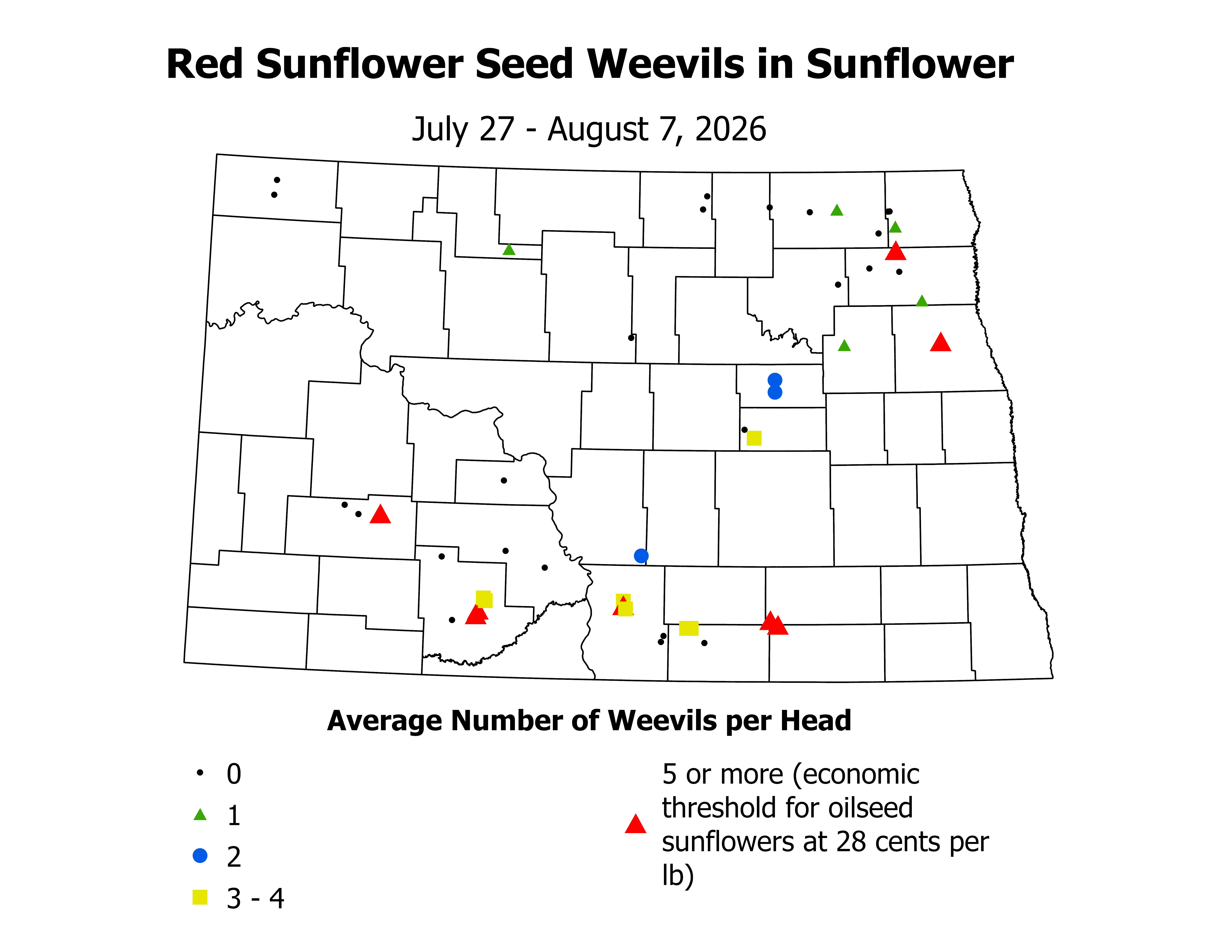 sunflower_RSSW_Head_2026July27ToAugust7.png