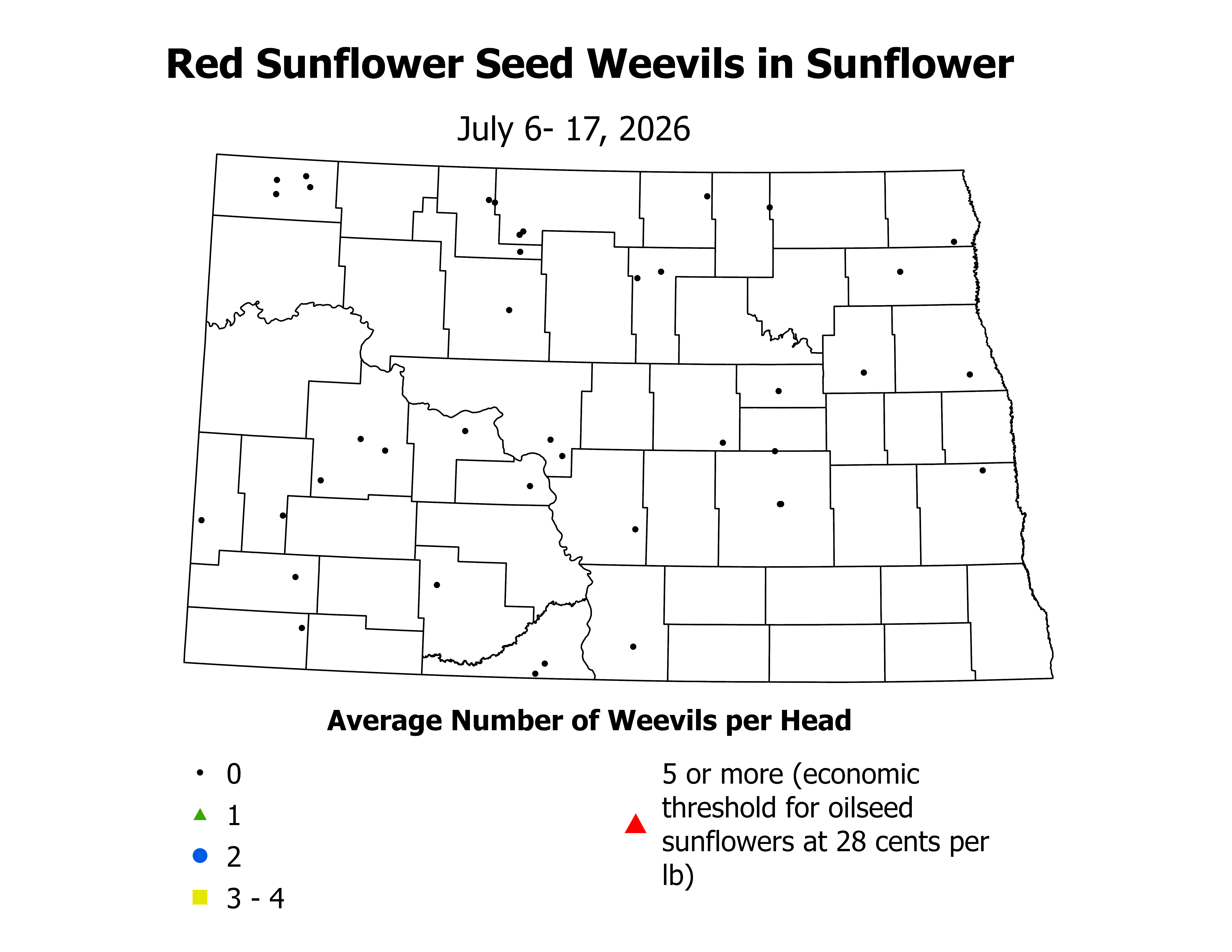 sunflower_RSSW_Head_2026July6ToJuly17.png