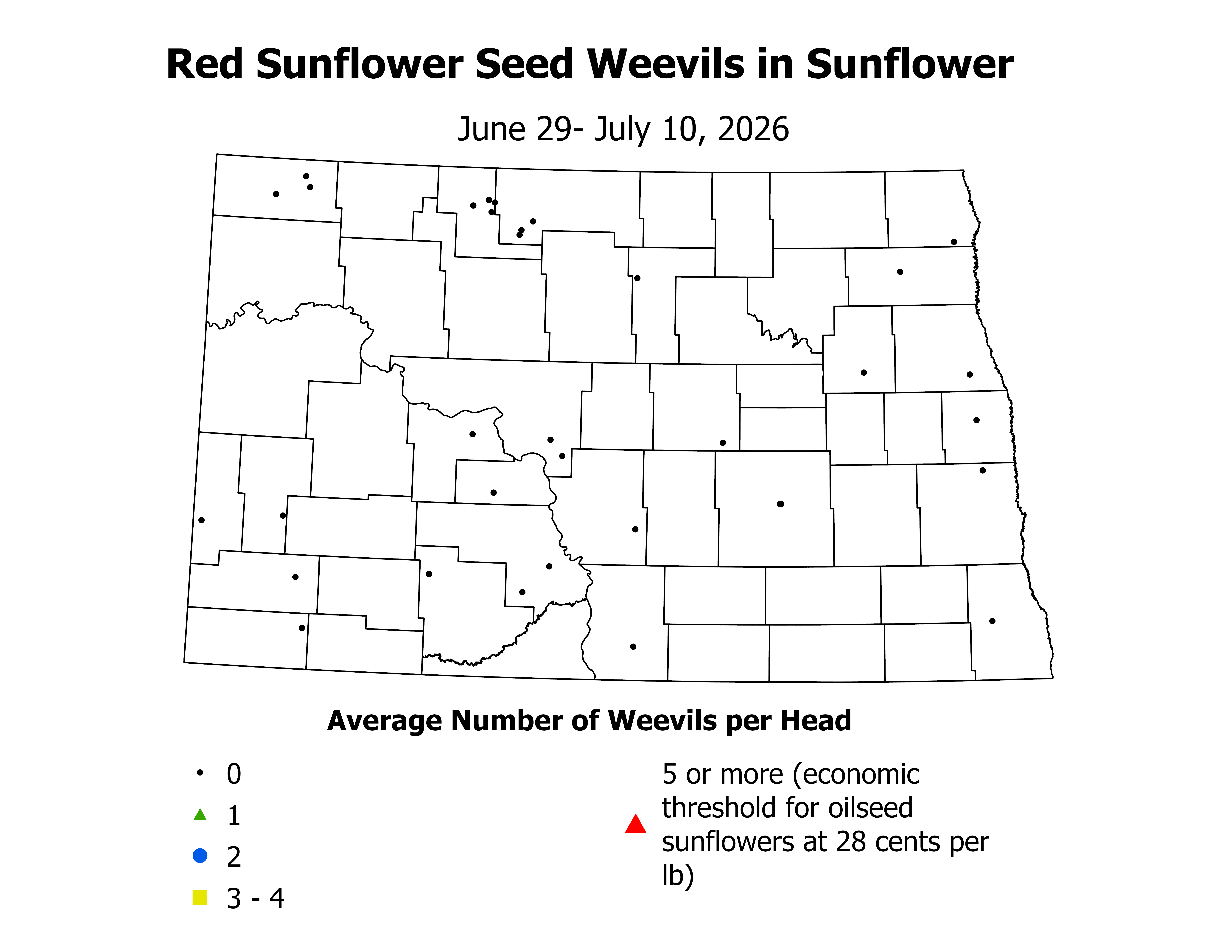 sunflower_RSSW_Head_2026June29ToJuly10.png