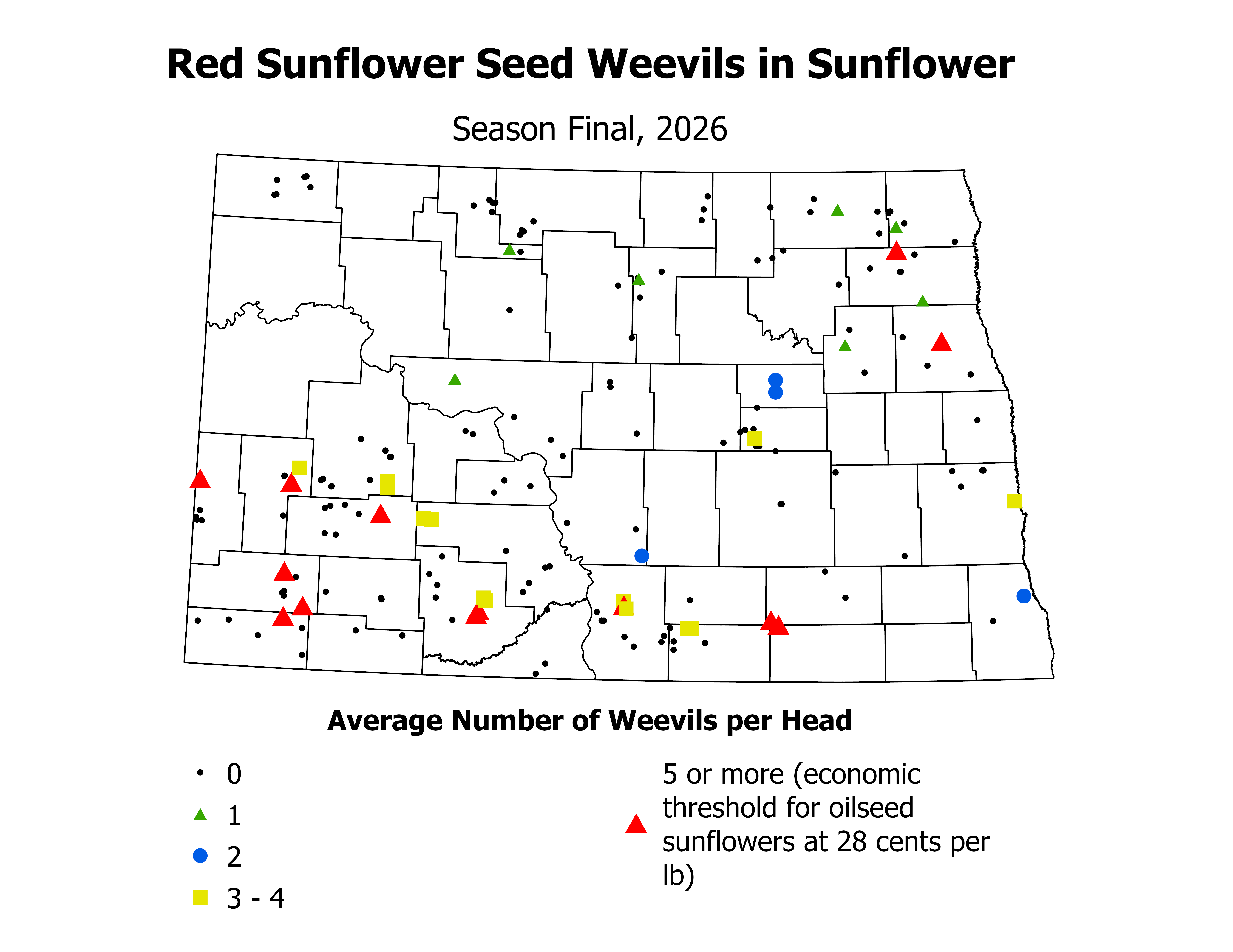 sunflower_RSSW_Head_2026SeasonFinal.png