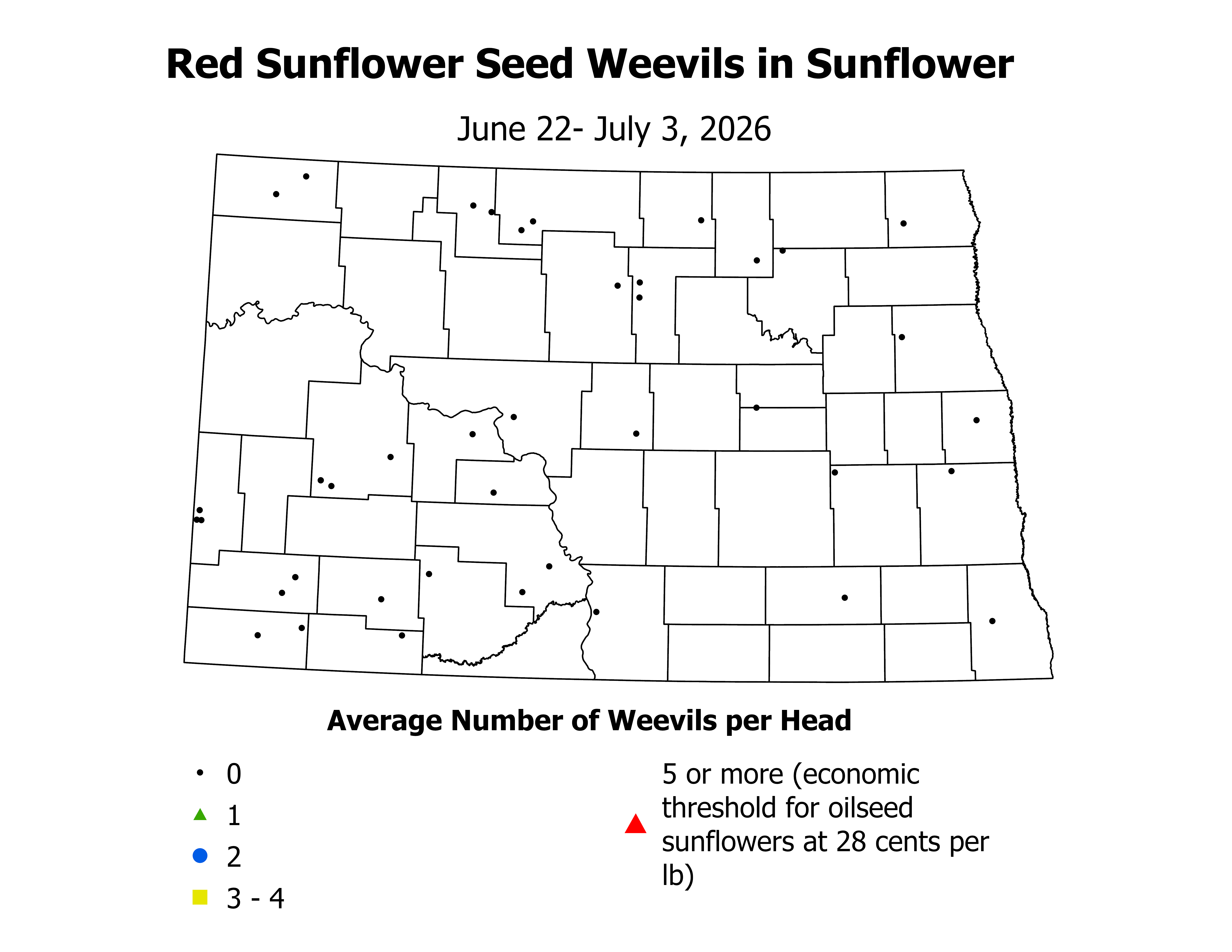 sunflower_RSW_Head_2026June22ToJuly3.png