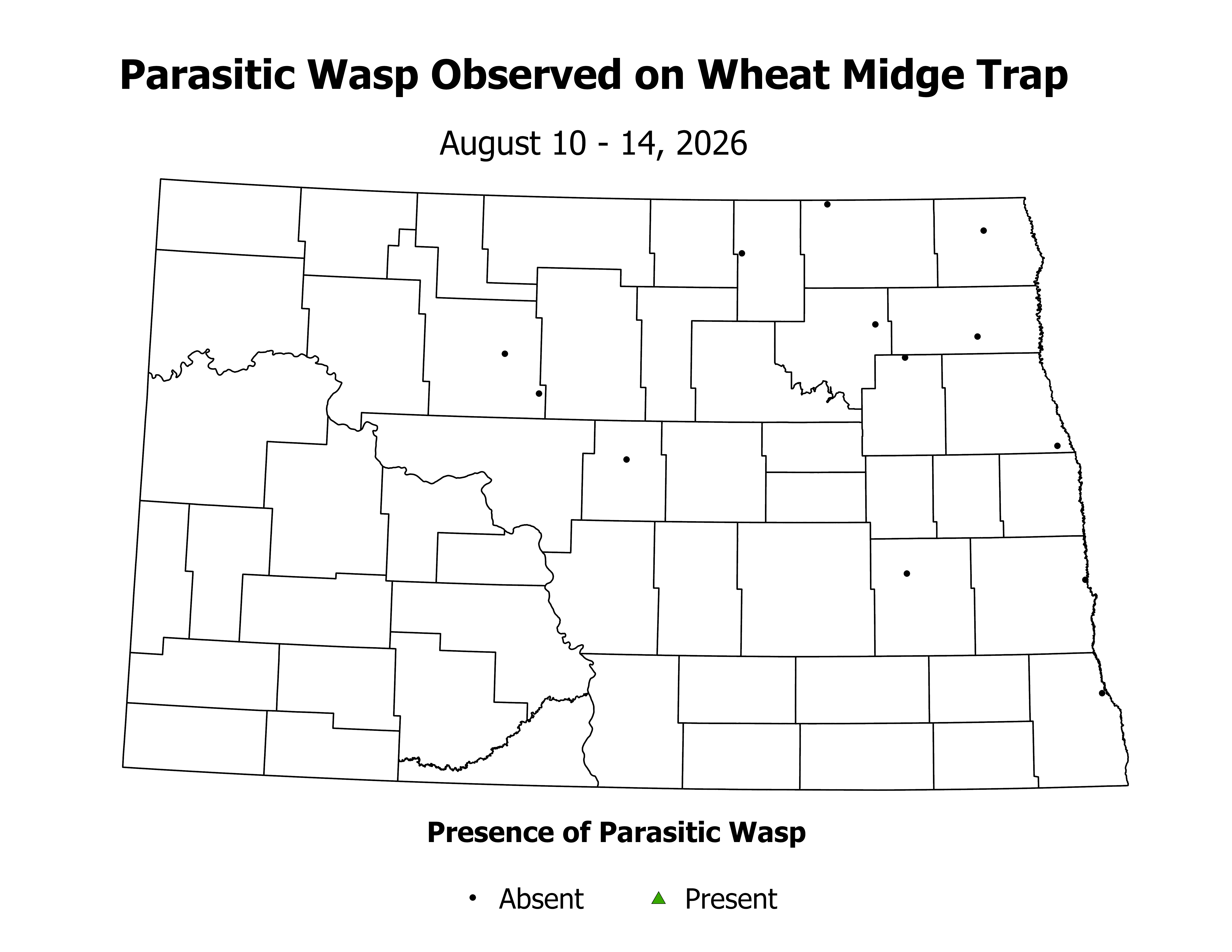 wheatInsectTrap_PARA_PRES_2026August10ToAugust14.png