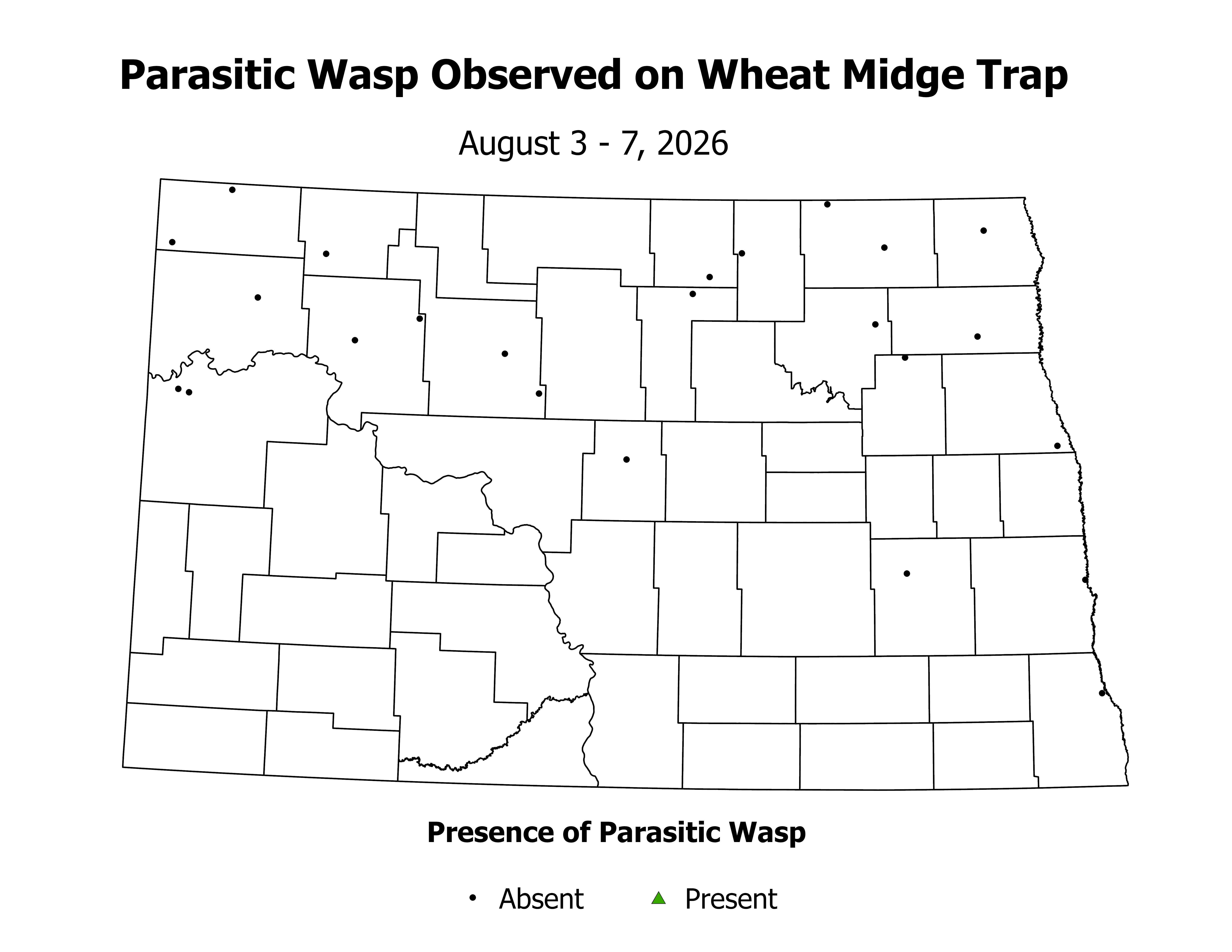 wheatInsectTrap_PARA_PRES_2026August3ToAugust7.png