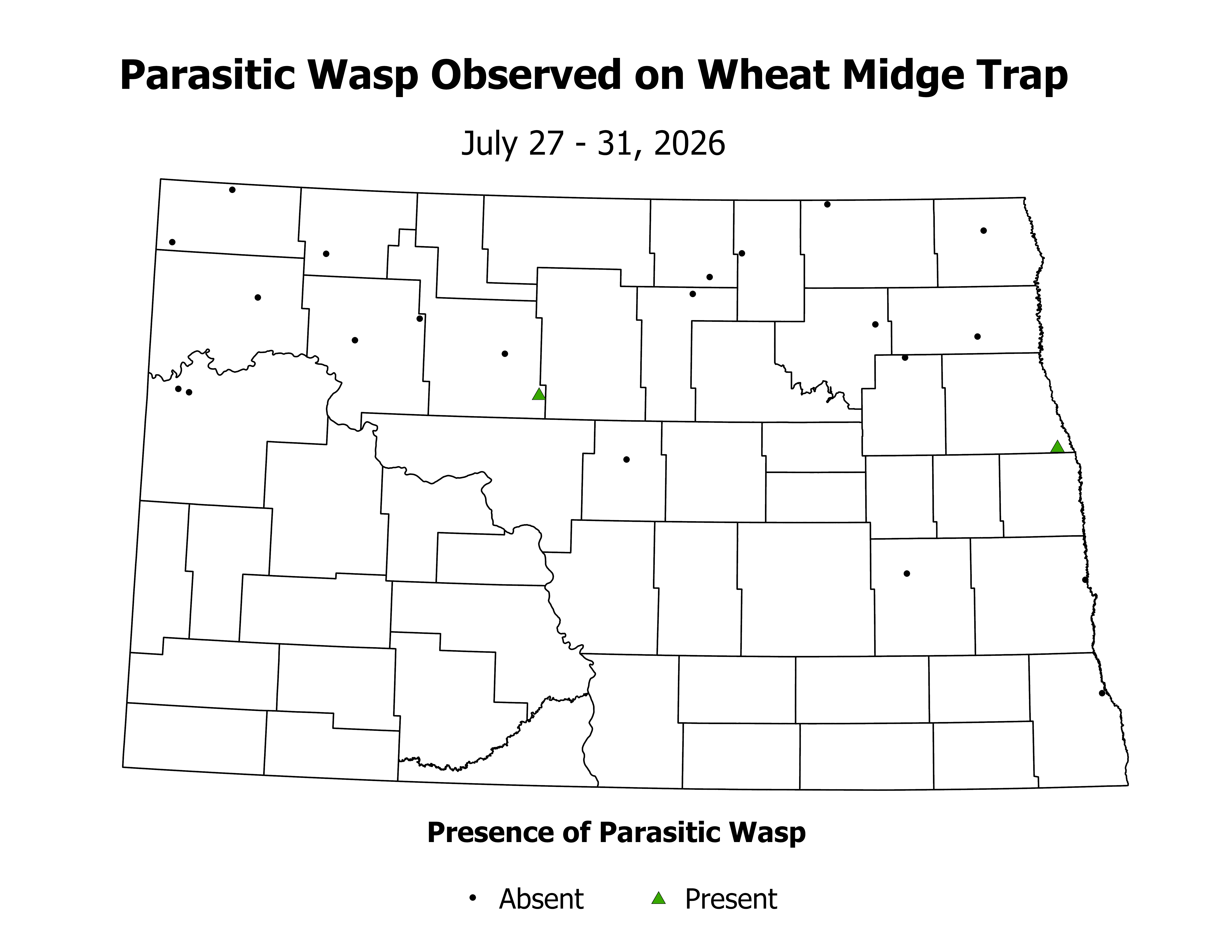 wheatInsectTrap_PARA_PRES_2026July27ToJuly31.png