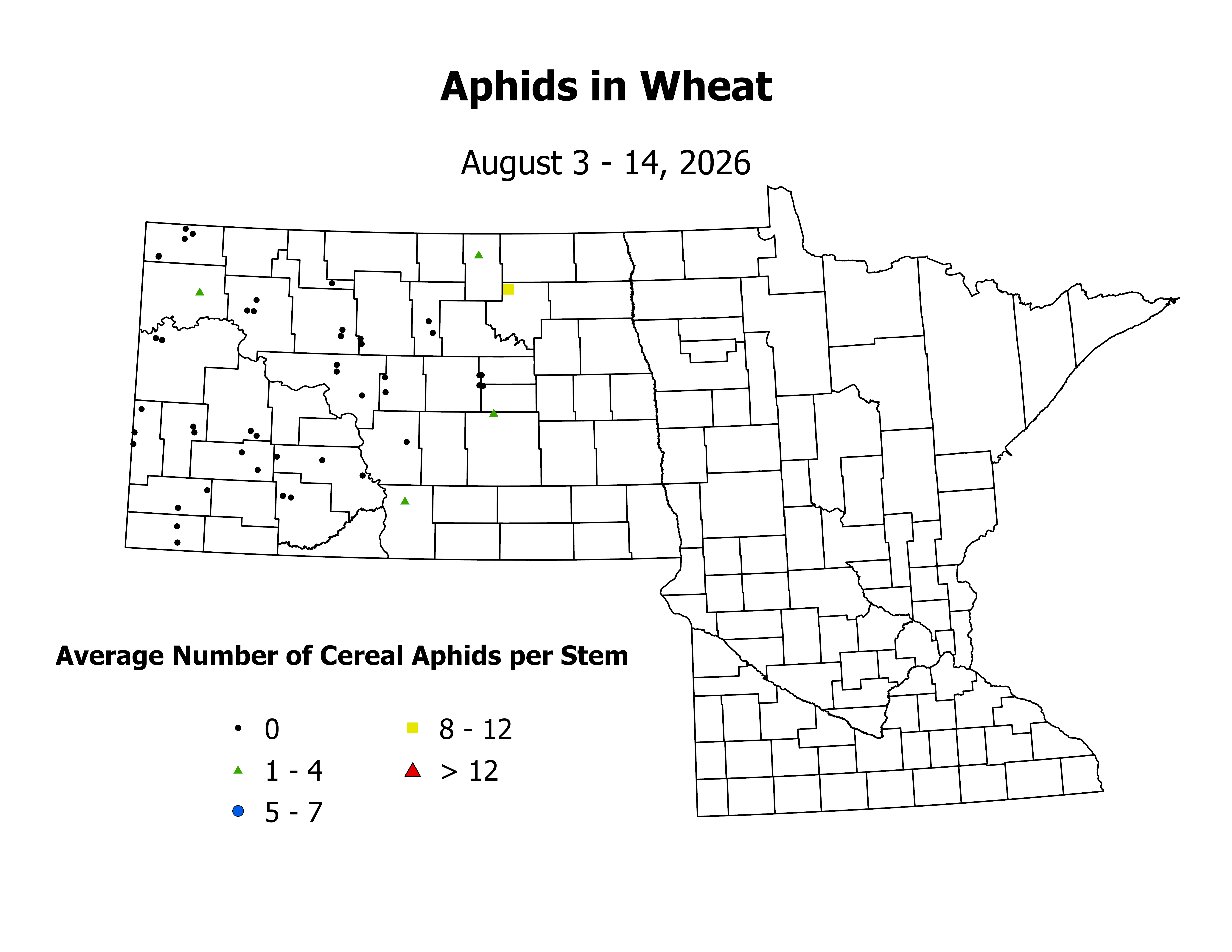 wheat_Aph_Stem_2026August3ToAugust14.png