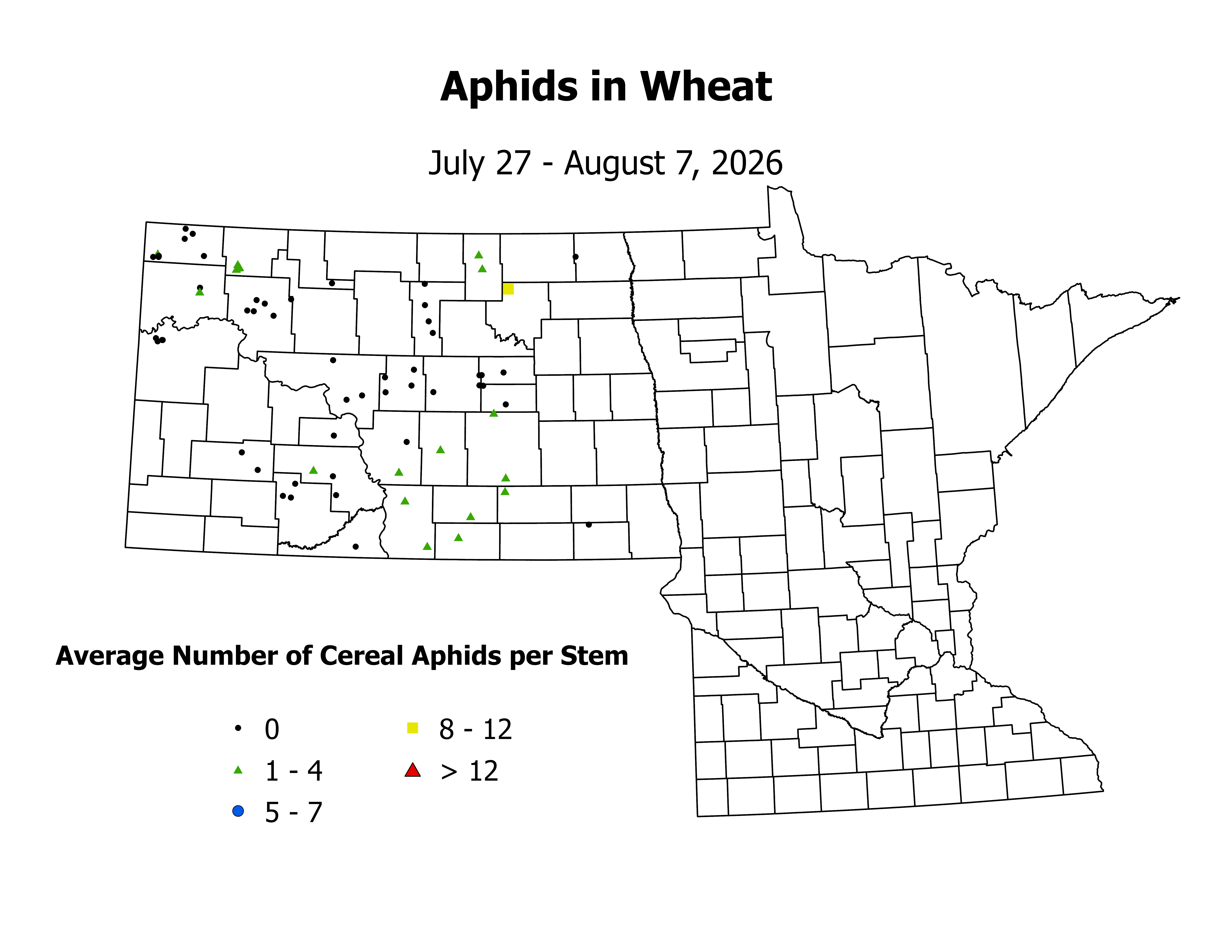 wheat_Aph_Stem_2026July27ToAugust7.png