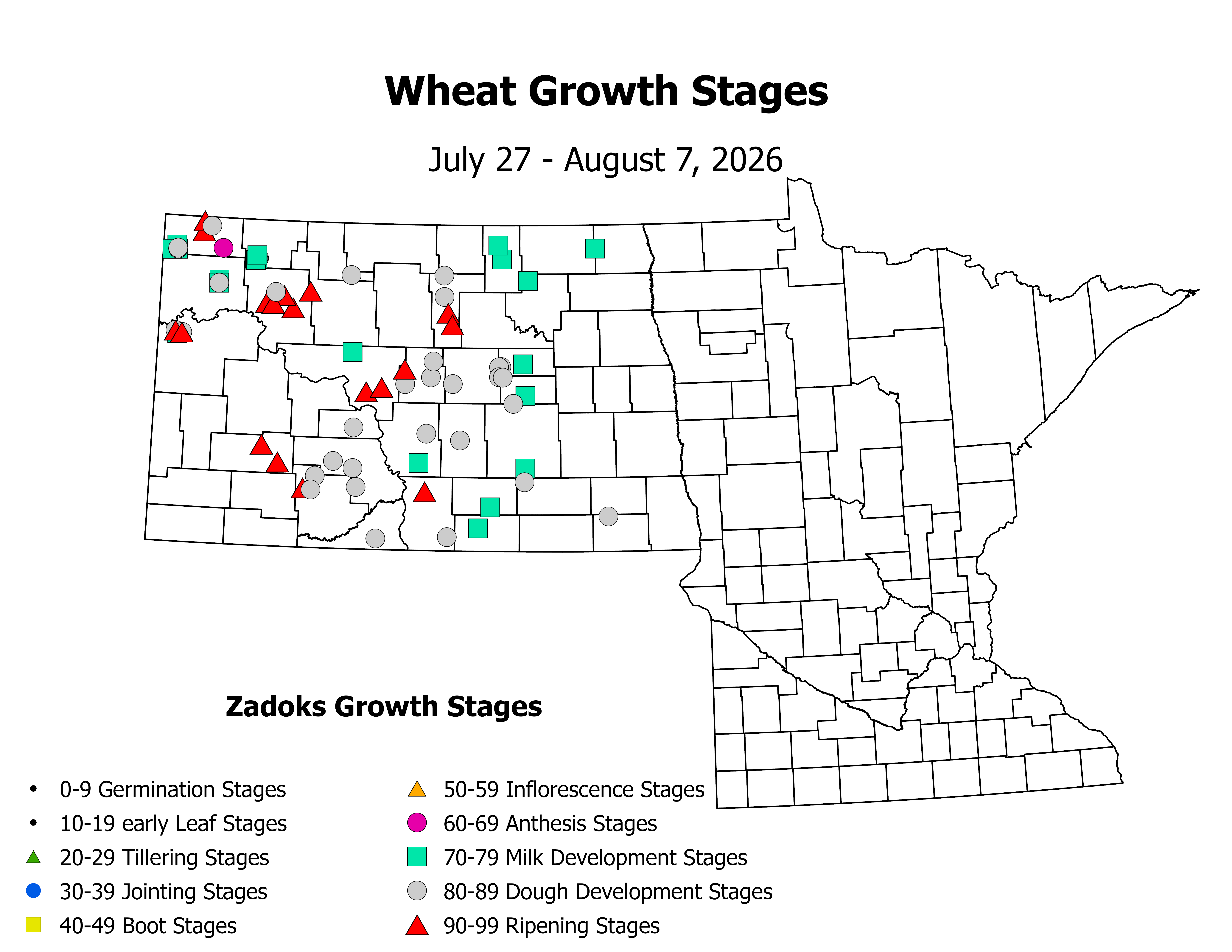 wheat_CropStage_2026July27ToAugust7.png