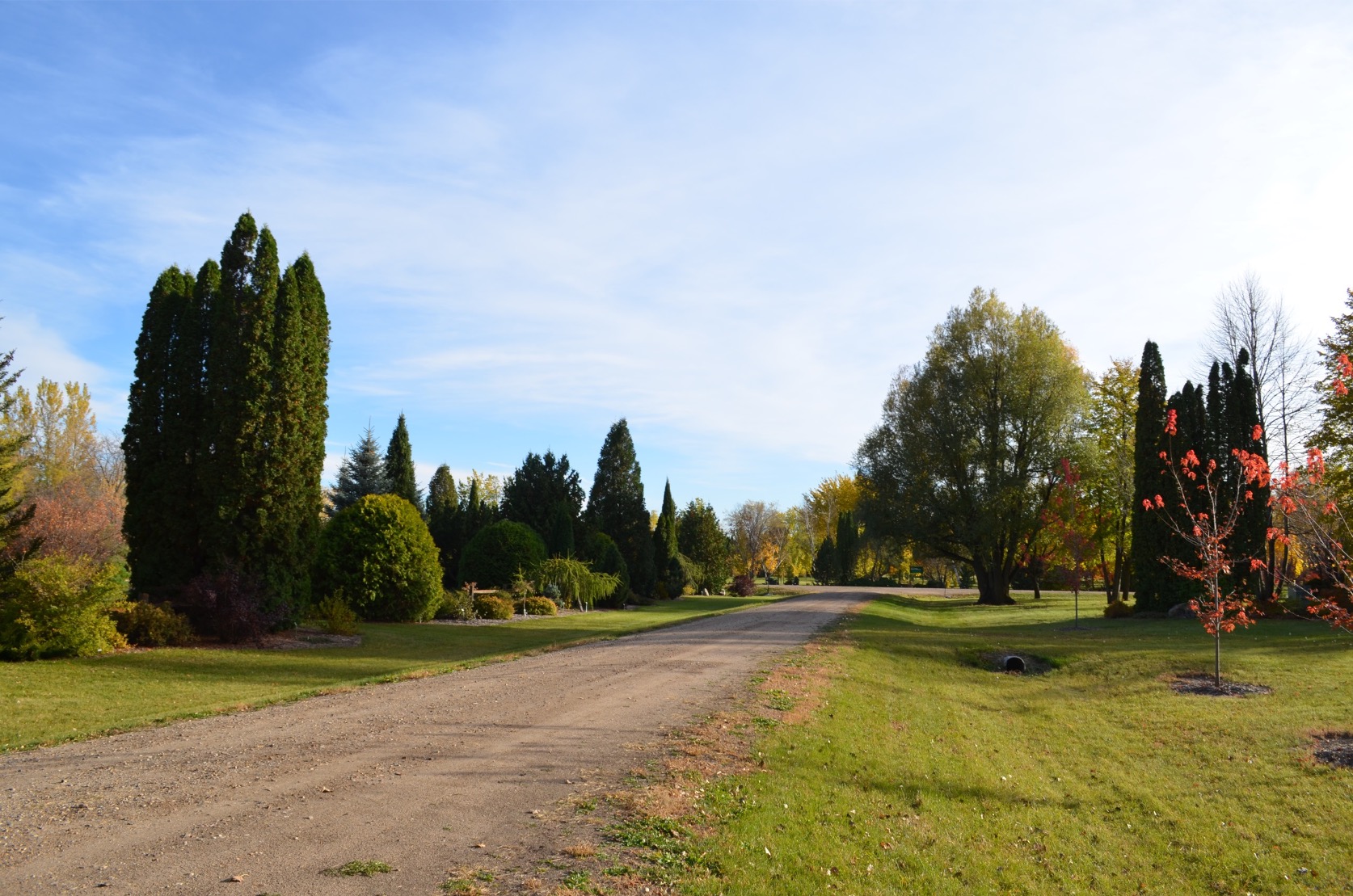 Trees at NDSU Research Arboretum
