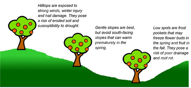 Diagram showing what elevation and slope you want to start a community orchard