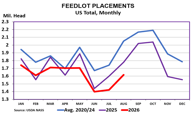 2026 Feedlot Placements