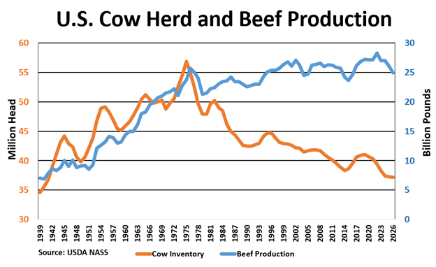 2026 US Cow Herd and Beed Production Chart