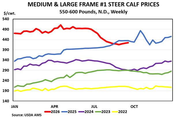 Medium and Large Frame 1 Steer Calf Prices 2026