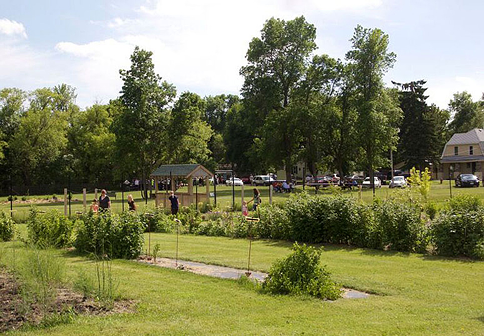 Aneta community orchard 2