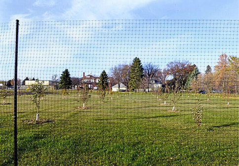 Prairie Dawn Community Orchard
