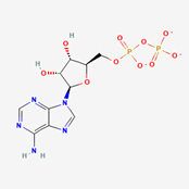 Figure 16.2 - Structure of ADP
