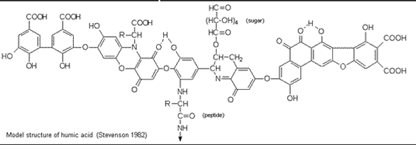 Figure 17.6 Theoretically possible structure of a ‘piece’ of organic matter. Note COOH, OH, NH groups, all subject to losing H+ due to pH (Stevenson, 1982).