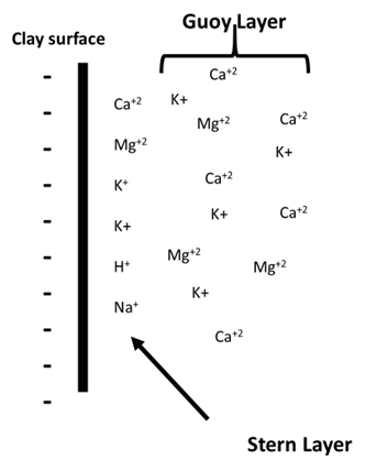 Figure 17.8 Illustration of Guoy and Stern layers important in cation exchange capacity.