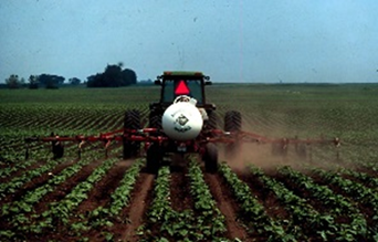 Figure 28.10 A side-dress ammonia application on sunflower. (courtesy of Don Lilleboe)