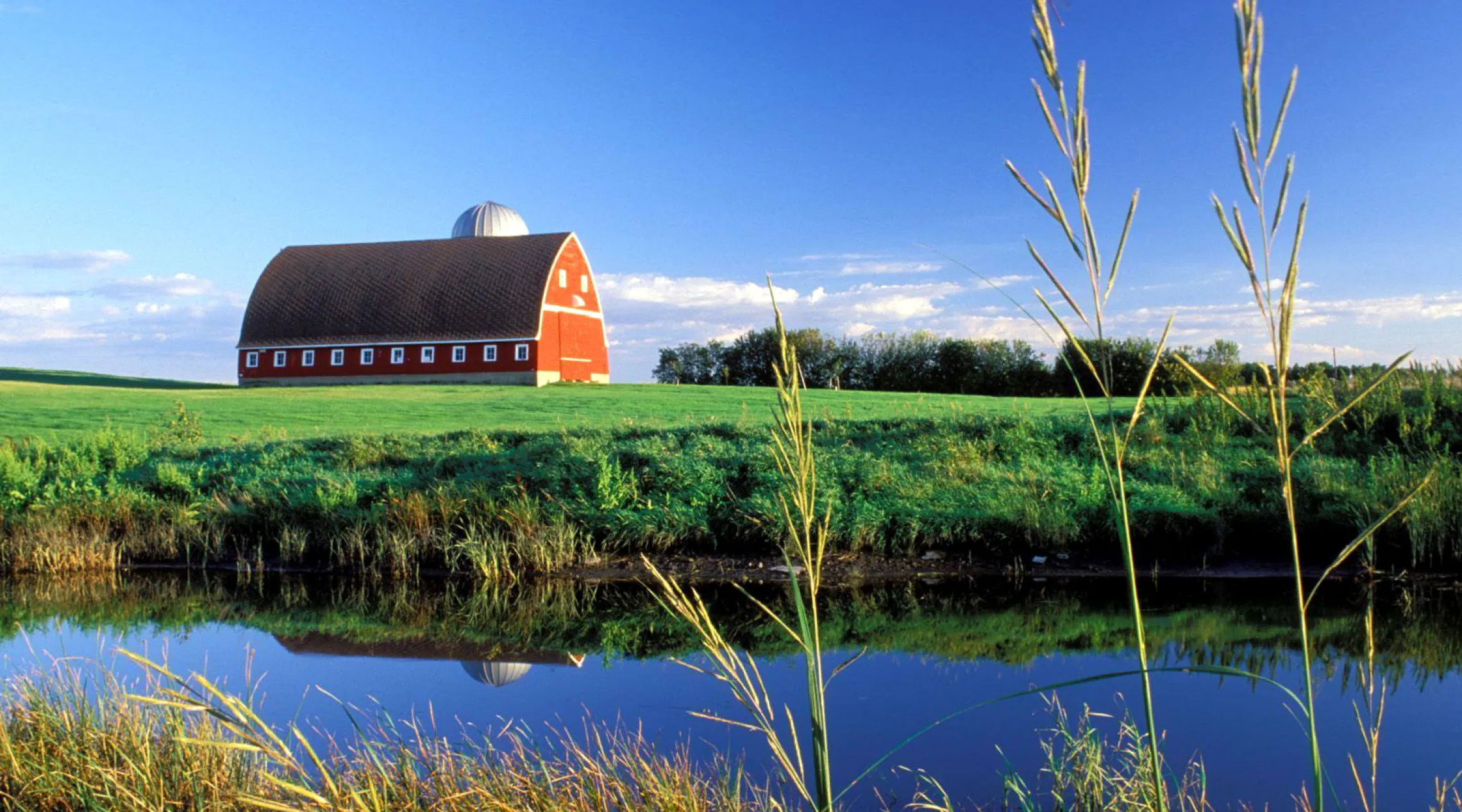 Looking over a pond with a pasture and red barn in background