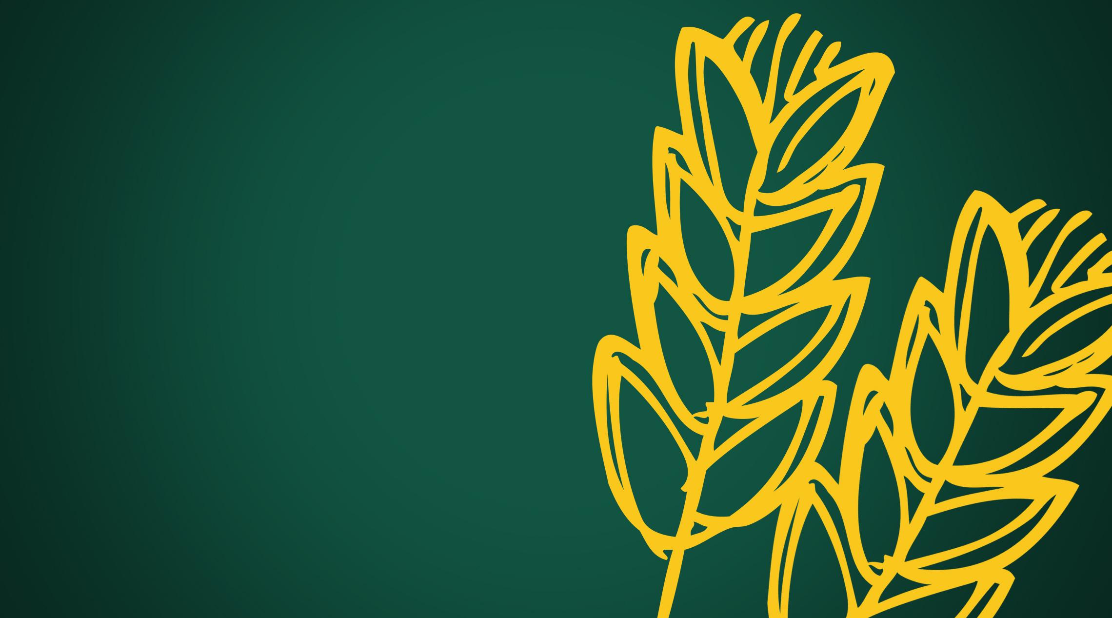 2 gold wheat on green background