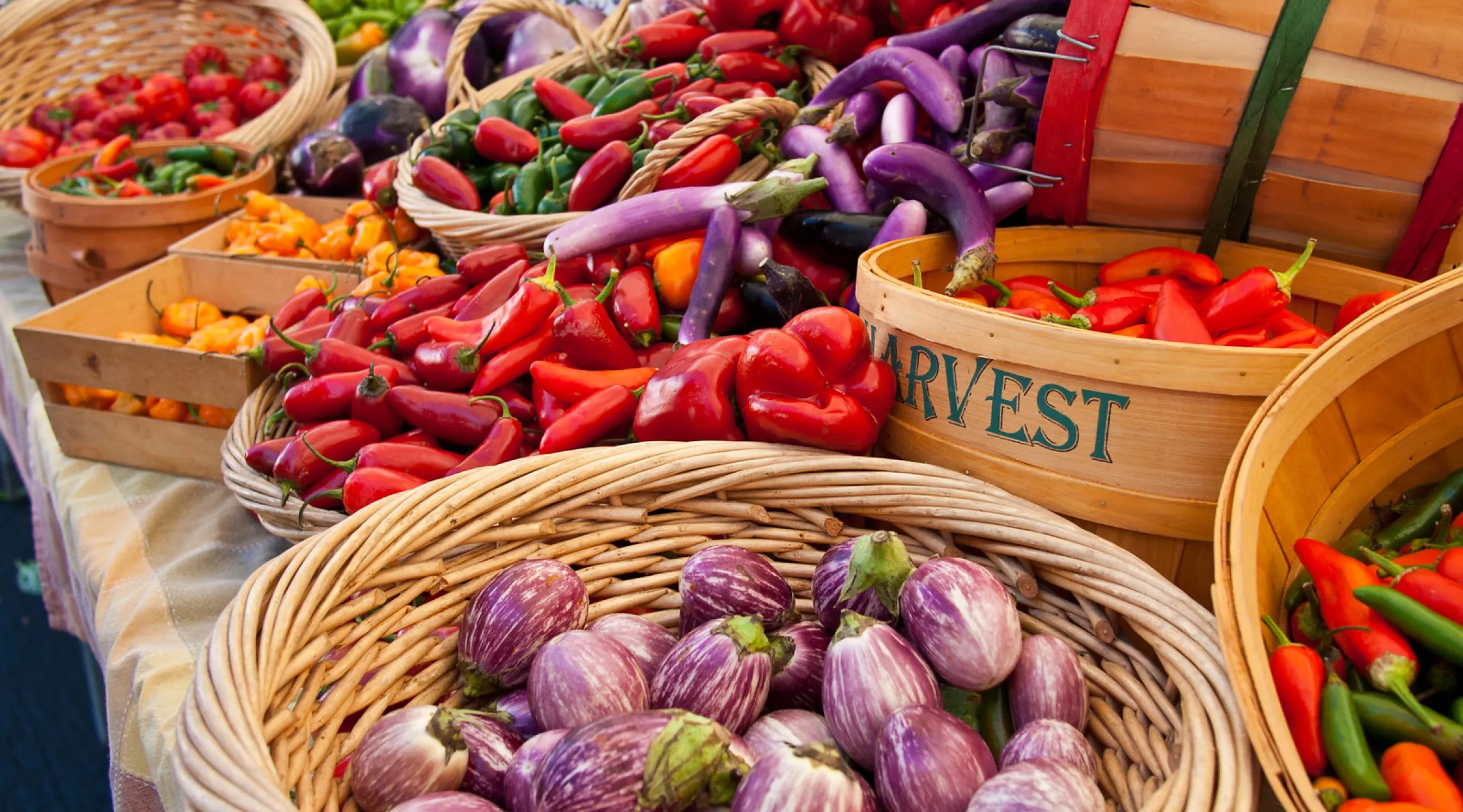 Table full of harvested vegetables
