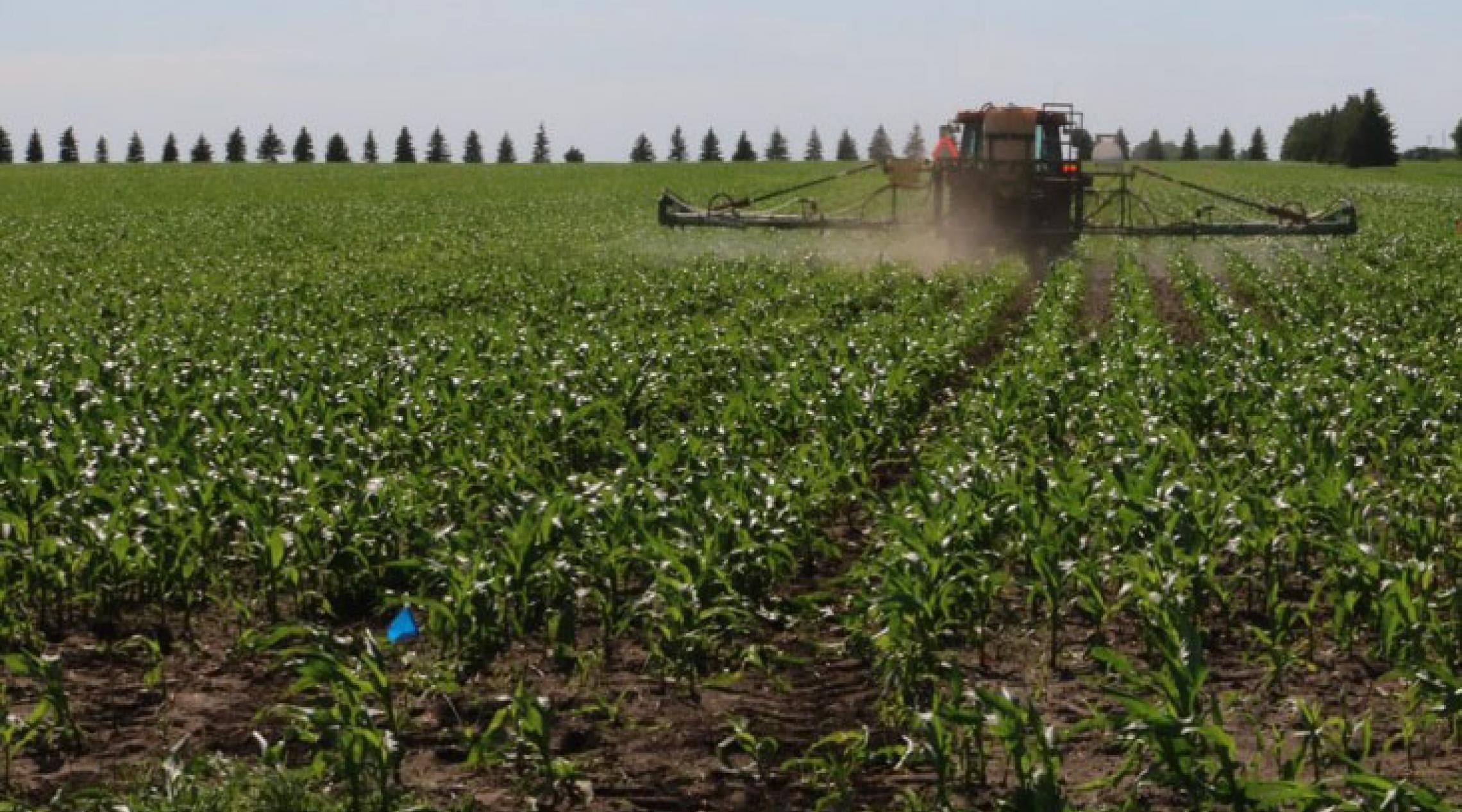 tractor spraying herbicide in a field