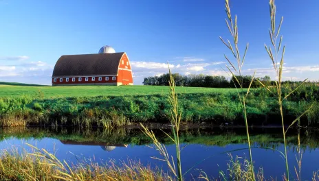 Looking over a pond with a pasture and red barn in background
