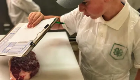 boy with clipboard analyzing piece of beef