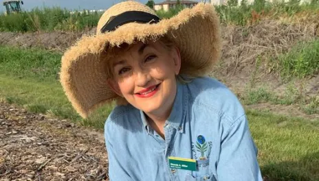 master gardener evaluating rose bush