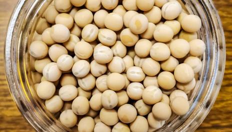 a container of yellow pea seed