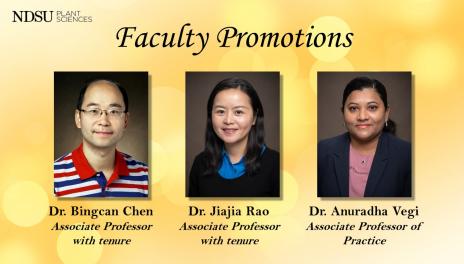 Plant Sciences faculty promotions