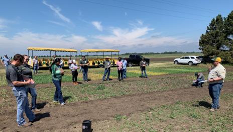 Field school participants viewing herbicide site-of-action demonstration