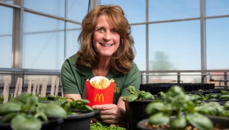 Dakota Russet potato approved for McDonald's fries
