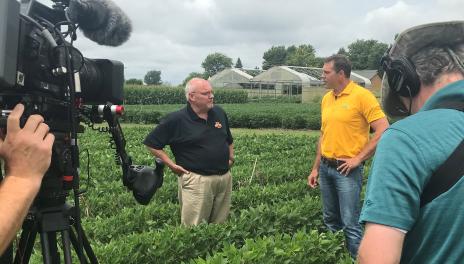 Two men stand in a field of soybeans while being filmed with a video camera. 