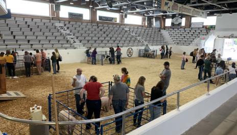 Students in arena with staff and farm animals