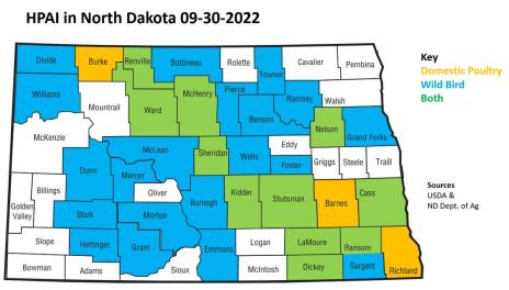 PAI cases in ND as of September 25, 2022; Domestic poultry: Barnes, Burke, Cass, Dickey, Kidder, LaMoure, McHenry, Nelson, Ransom, Renville, Richman, Stutsman, Sheridan and Ward. Wild bird: Benson, Bottineau, Burleigh, Cass, Dickey, Divide, Dunn, Emmons, Foster, Grand Forks, Grant, Hettinger, Kidder, LaMoure, McHenry, McLean, Mercer, Morton, Nelson, Pierce, Ramsey, Ransom, Renville, Sargent, Sheridan, Stark, Stutsman, Towner, Ward, Wells and William 