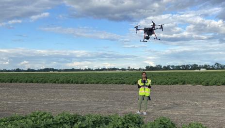 Student in yellow safety vest flies an Unmanned Aerial Vehicle (UAV) over a soybean field.