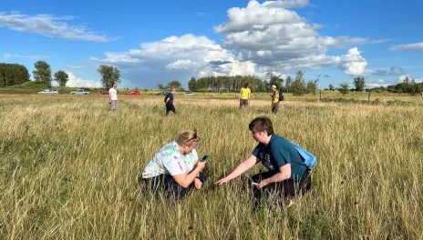 Two people examine plants in a field.