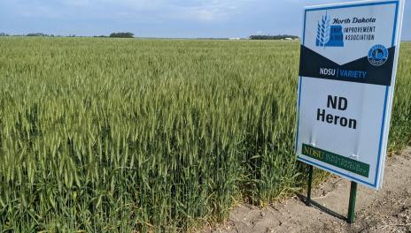 Sign next to field of wheat.