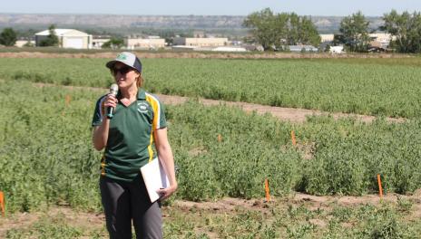 woman speaking in a field at the Williston Research Extension Center