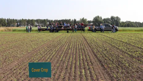 A gray pickup and black flatbed trailer at the end of a research plot labeled 'Cover Crop,' with several people sitting on the trailer.