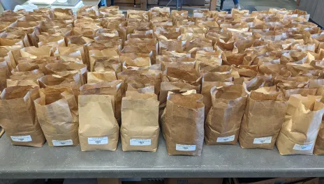 Approximately 100 brown paper bags, 3x4x9 inches, stand in rows on a countertop, each half-full with a small barcode label near the bottom.
