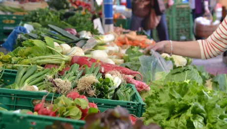 Food Entrepreneurship