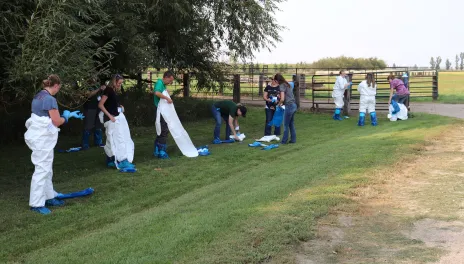 Several people stand outdoors, adding white protective suits, boot covers, and gloves over their clothing.