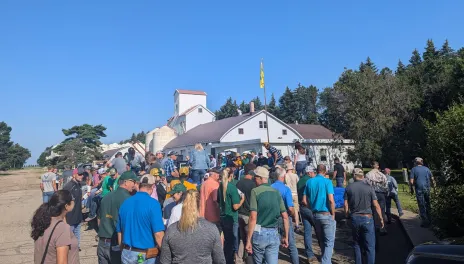 A large group of people walk toward trailers on a sunny day.