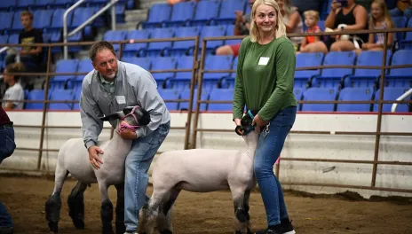 Two people standing next to two sheep at Leader Showmanship Event