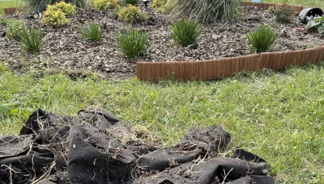 Landscape fabric is not meant to be used as a long-term solution for weed control. 