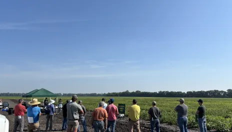 Some field day sessions will focus on practical, integrated management strategies to help producers address dry bean challenges.