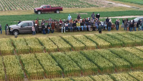 At the field day, participants can see research trials of several crops being grown at the Hettinger Research Extension Center.